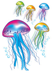 meduse © photoxgraph.it