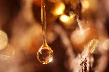 the light beam staring at the star in a drooping drop of resin - obrazy, fototapety, plakaty