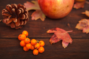 Naklejka na ściany i meble Autumn concept, fallen red-yellow leaves with pine cones, apples and rowan berries on a wooden table. Thanksgiving Day.