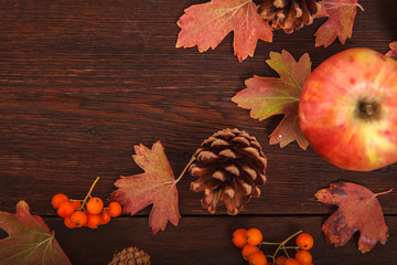Autumn concept, fallen red-yellow leaves with pine cones, apples and rowan berries on a wooden...