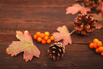 Autumn concept, fallen red-yellow leaves with pine cones, apples and rowan berries on a wooden table. Thanksgiving Day.
