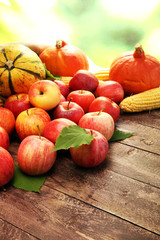 Naklejka na ściany i meble Thanksgiving - pumpkin, apples, and maize on wooden background