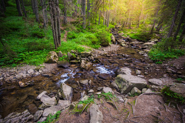 Mountain River in the wood. Ukrainian Carpathians.
