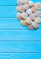 Frame of seashells on blue (turquoise) wooden background. Summer sea vacation backdrop with copy space, nautical border. Top view, flay lay.