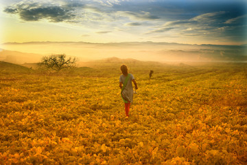 Rural Girl running in agriculture land