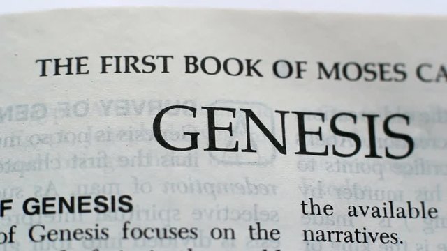The First Book Of Genesis