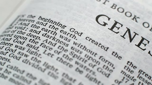 The First Book Of Genesis