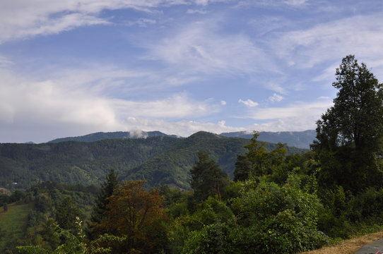Fototapeta Beautiful view on trees and distant mountains