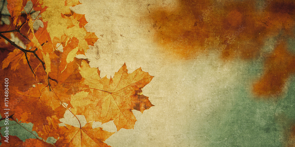 Sticker grunge background with autumn leaves