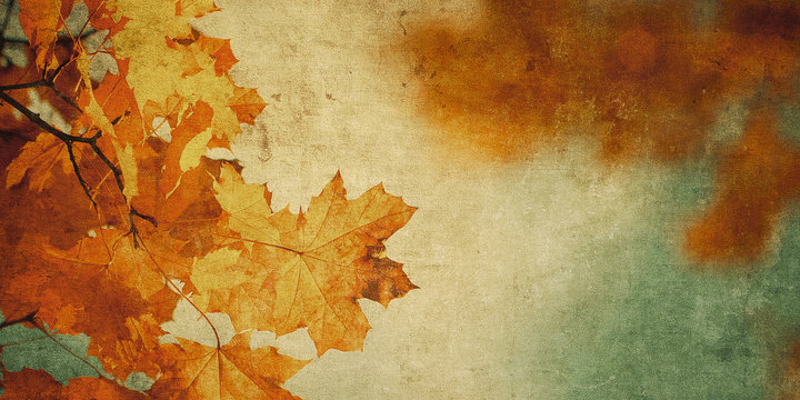 grunge background with autumn leaves