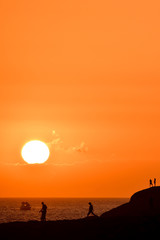 Fototapeta na wymiar Solar sunset silhouettes