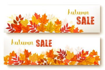 Obraz premium Two abstract autumn banners with colorful leaves Vector