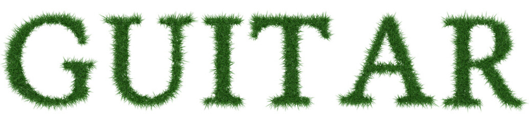 Guitar - 3D rendering fresh Grass letters isolated on whhite background.