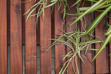 Wooden table. Background. Warm weather. Summer. For your design.