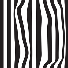 Striped abstract background. black and white zebra print. Vector seamless illustration. eps10