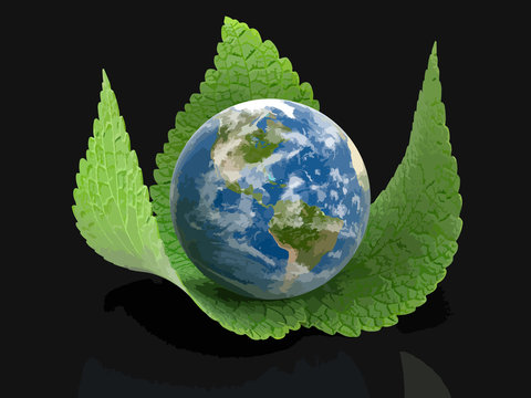3d Globe on leaves. Image with clipping path 