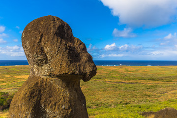 Ranu Raraku, Easter Island - July 10, 2017: Moai statues of Ranu Raraku, Easter Island