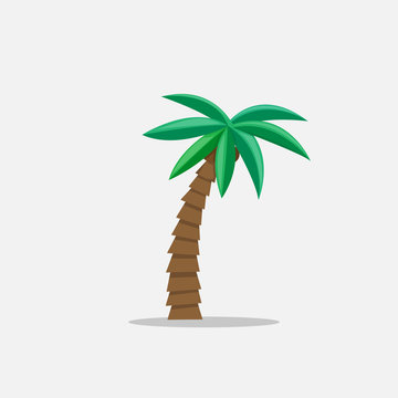 Palm trees in cartoon style isolated on white background Vector Illustration. Tropical summer tree plant on nature for your projects.
