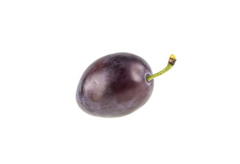  plum on white background