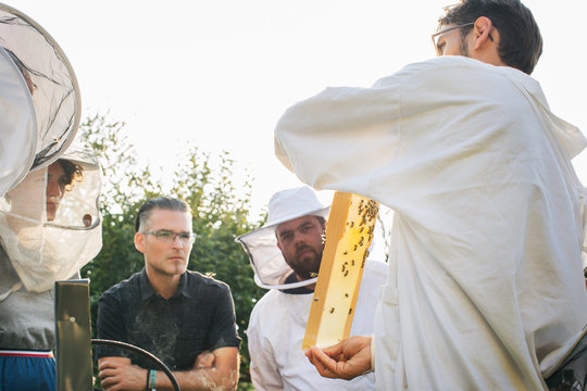 Apiarist Holding Frame With Bees and Showing It To Interested Students