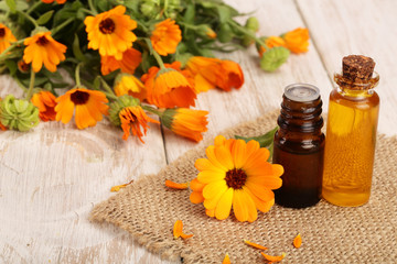 aromatherapy essential oil with fresh marigold flowers on white wooden background. Calendula oil
