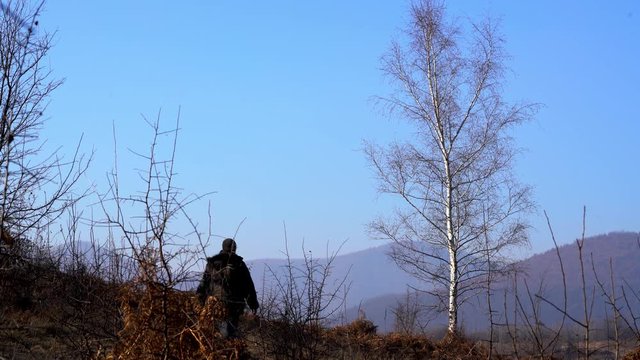 Man walking by a leafless birch - (4K)