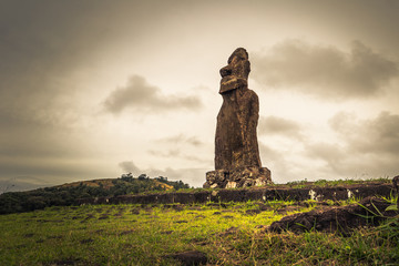 Ahu Kuri a Urenga, Easter Island - July 11, 2017: State of Moai at the sacred site