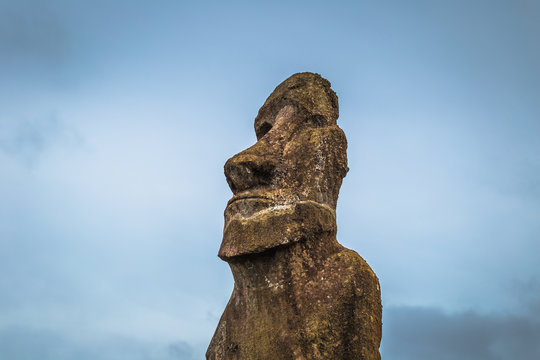 Ahu Kuri a Urenga, Easter Island - July 11, 2017: State of Moai at the sacred site