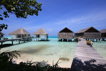 Maldives