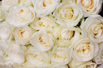 white flowers for gift