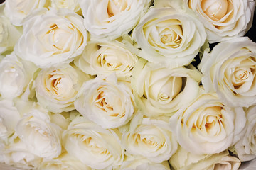 white flowers for gift