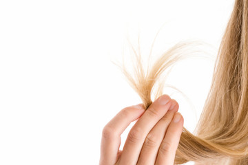 Woman's hand showing a damaged hair ends isolated on the white background. Cares about a healthy and clean hair. Beauty salon. Empty place for a text. © fotoduets
