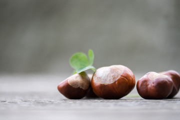 Kastanien und Kleeblatt auf Holztisch, draußen