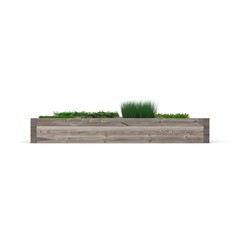 Green garden in a wooden box on white. Side view. 3D illustration