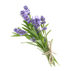 Bunch of lavender flowers isolated on a white - obrazy, fototapety, plakaty