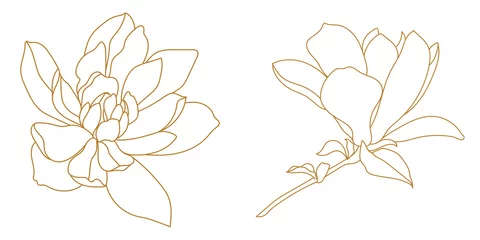 Foto op Canvas Set of golden graphical magnolia flower. Vector. © mirskaya