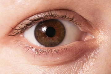 Naklejka premium Close up view of a brown woman eye looking at camera