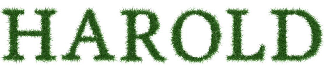 Harold - 3D rendering fresh Grass letters isolated on whhite background.