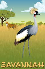 Fototapeta premium African savannah with crowned crane, heron and cheetah - vector illustration