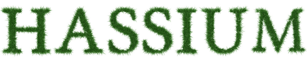 Hassium - 3D rendering fresh Grass letters isolated on whhite background.