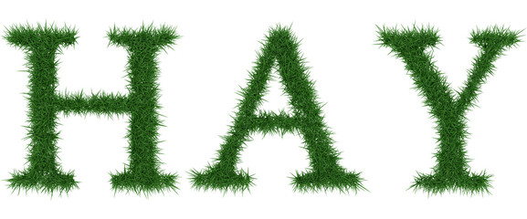 Hay - 3D rendering fresh Grass letters isolated on whhite background.