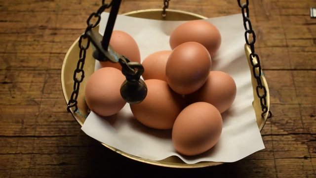 Eier voedsel Uovo &OElig;uf aliment di Huevo gallina hen alimento Ei Lebensmittel video Egg as 蛋 food Trứng thực phẩm