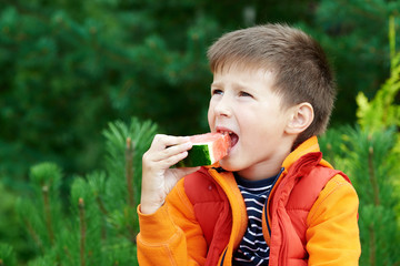 Cute Caucasian boy eating water melon outdoor.