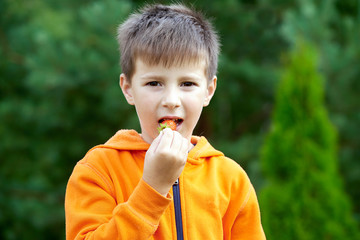 Fototapeta premium Cute Caucasian boy eating strawberry outdoor.