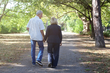 Obraz premium Happy smiling senior couple walking in park on sunny day. Healthy and Active Senior Living