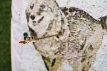 Arrow in target with painting