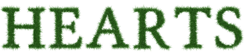 Hearts - 3D rendering fresh Grass letters isolated on whhite background.