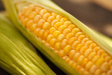 Fresh corn on cobs on  wooden table, closeup