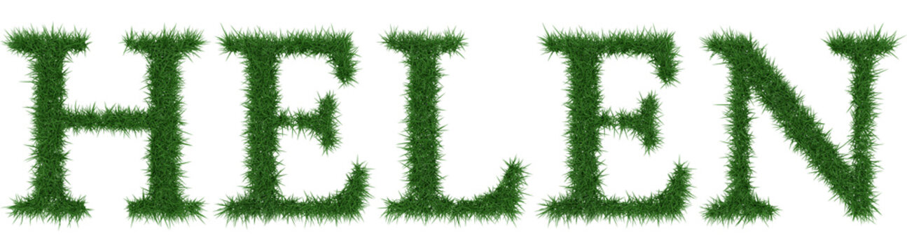 Helen - 3D rendering fresh Grass letters isolated on whhite background.
