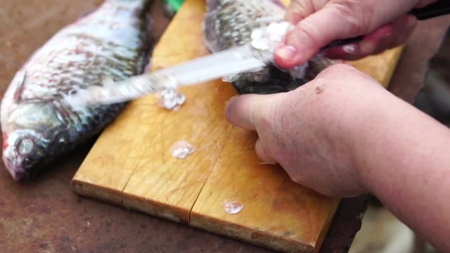 woman scales the scales off the fish. hands closeup